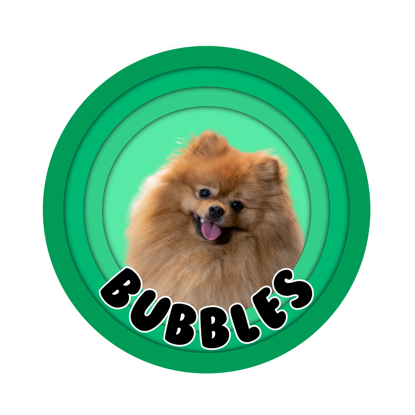 custom pet rug green portrait